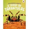 KNYGA Rebecca Storm Discovering Insects: A Troop of Tarantulas