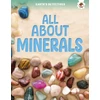 KNYGA Rebecca Storm Earth's Detectives: All About Minerals