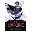 KNYGA Rebecca Zahabi Hawkling