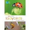 KNYGA Richard Comont RSPB Spotlight Ladybirds
