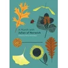 KNYGA Rima Devereaux A Month with Julian of Norwich