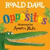 KNYGA Roald Dahl Opposites