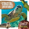 KNYGA Robin Twiddy Coastal Creatures