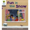 KNYGA Roderick Hunt Oxford Reading Tree: Level 1: Decode and Develop: Fun in the Snow