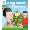 KNYGA Roderick Hunt Oxford Reading Tree: Level 2 More a Decode and Develop a Big Bunch of Flowers