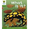 KNYGA Roderick Hunt Oxford Reading Tree: Level 2: More Patterned Stories A: What Is It?