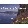 KNYGA Ronning Gjoerevoll Flowers of Svalbard