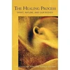 KNYGA Rudolf Steiner The Process