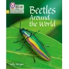 KNYGA Sally Morgan Beetles Around the World
