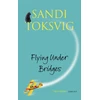 KNYGA Sandi Toksvig Flying Under Bridges