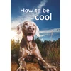 KNYGA Sandy Mckay How to be cool