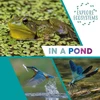 KNYGA Sarah Ridley Explore Ecosystems: In a Pond