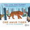 KNYGA Sarah Ridley One Life, One Planet: One Amur Tiger in Five Hundred