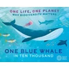 KNYGA Sarah Ridley One Life, One Planet: One Mėlyna Whale in Ten Thousand