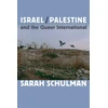 KNYGA Sarah Schulman Israel/Palestine and the Queer International