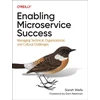 KNYGA Sarah Wells Enabling Microservice Success