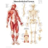 KNYGA Scientific Publishing Musculoskeletal System Paper Poster