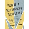 KNYGA Scott W Stern There Is a Deep Brooding in Arkansas