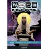 KNYGA Simon Amadeus Pillario Book of Matthew: Word for Word Bible Comic