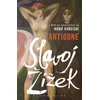 KNYGA Slavoj Zizek Antigone