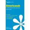KNYGA Sparknotes Americanah by Chimamanda Ngozi Adichie