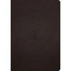 KNYGA Spck ESV Study Bible