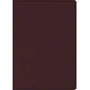KNYGA Spck ESV Study Bible, Large Print