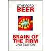 KNYGA Stafford Beer Brain of the Firm