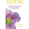 KNYGA Stefan Ball Bloom