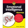 KNYGA Stein Emotional Intelligence For Dummies