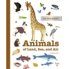 KNYGA Stephanie Babin Do You Know?: Animals of Land, Sea, and Air