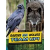 KNYGA Stephanie True Peters Ravens and Wolves Team Up!