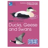 KNYGA Stephen Message RSPB ID Spotlight - Ducks, Geese and Swans