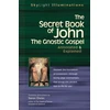 KNYGA Stevan L Davies Secret Book of John