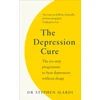KNYGA Steve Ilardi Depression Cure