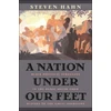 KNYGA Steven Hahn Nation under Our Feet