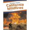 KNYGA Sue Gagliardi California Wildfires