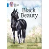 KNYGA Sue Purkiss Juodas Beauty