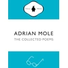 KNYGA Sue Townsend Adrian Mole: The Collected Poems