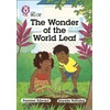 KNYGA Summer Edward Wonder of the World Leaf