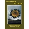 KNYGA Liu Wu Chi Sunflower Splendor