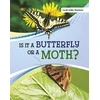 KNYGA Susan B Katz Is It a Butterfly or a Moth?