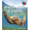 KNYGA Susan Frame life cycle of a turtle