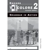 KNYGA Sylvia Honnor Encore Tricolore Nouvelle 2 Grammar in Action Pack (x8)