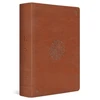 KNYGA T Desmond Alexander ESV Study Bible