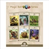 KNYGA Tami Reis Frankfort Phonic Books Magic Belt, Adjacent consonants and consonant digraphs, suffixes -ed and -ing