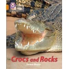 KNYGA Teresa Heapy Crocs and Rocks