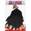 KNYGA Tite Kubo Bleach, Vol. 6