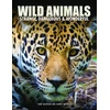 KNYGA Tom Jackson Wild Animals