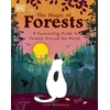 KNYGA Vicky Woodgate The Magic of Forests